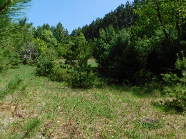 1943591-bce5ad8f-718a-498c-9d86-01862a970acb.JPG