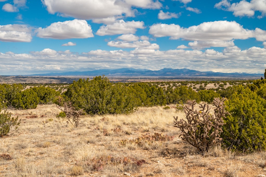 Tbd Hanuman Road Cerrillos, NM 87010 - Photo 11 of 33