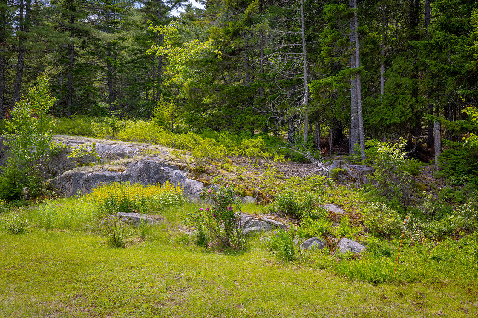 482 West Bay Road Gouldsboro, ME 04607 - Photo 4 of 38 43-482 West Bay Road-DTP_websize