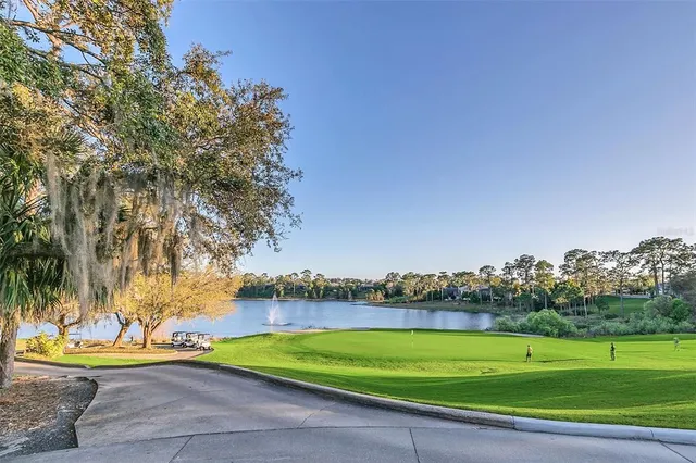 a view of a park with large trees