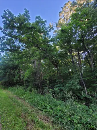 $43,000 | Lot 4 Us Highway, Merrillan, WI 54754