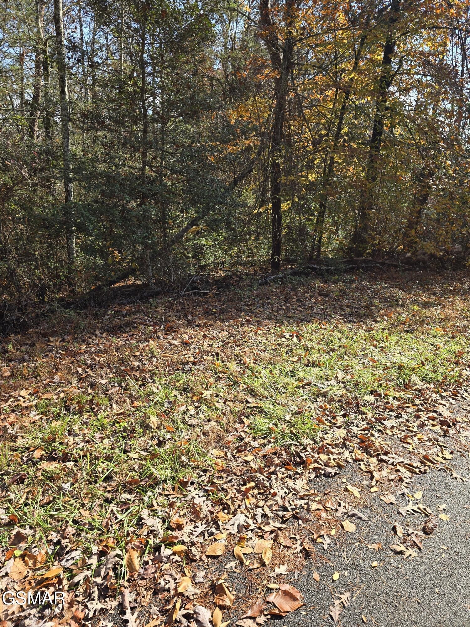 9 Montevallo Road Sevierville, TN 37876 - Photo 1 of 9