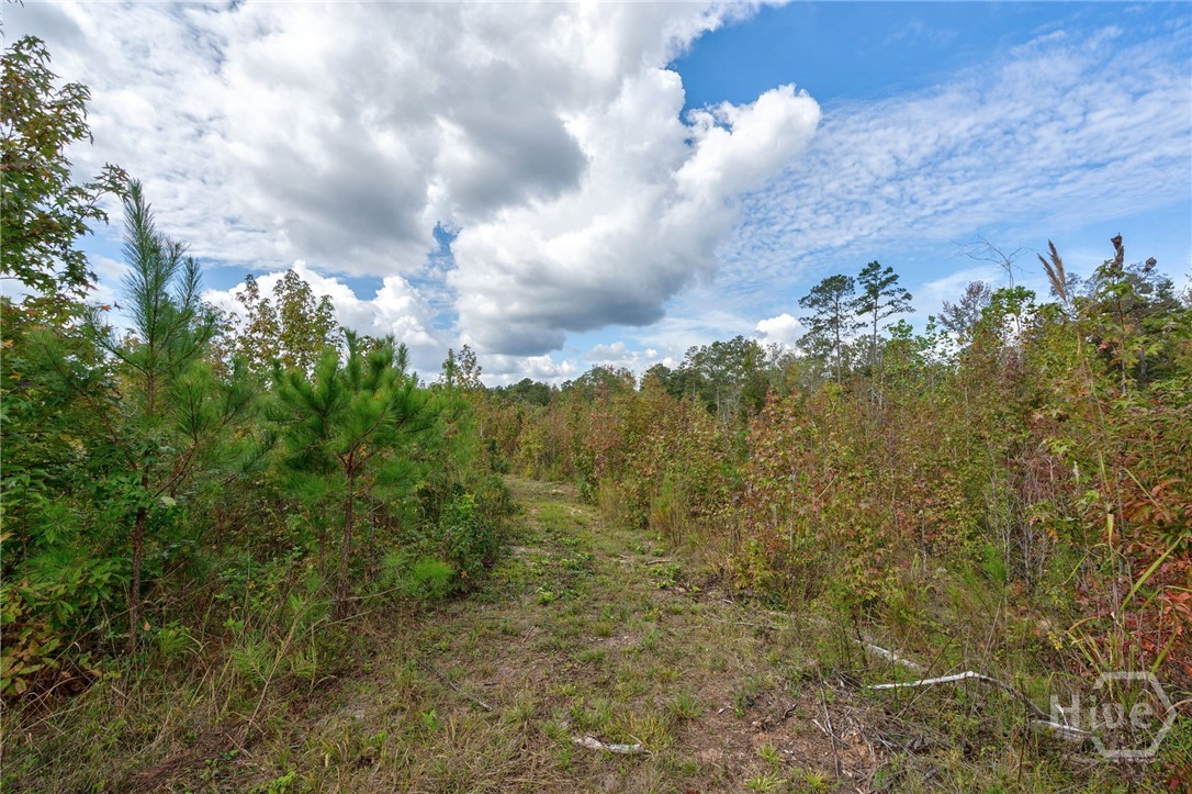 0 Old Salem Road Conyers, GA 30013 - Photo 14 of 26 Gallery Image 14