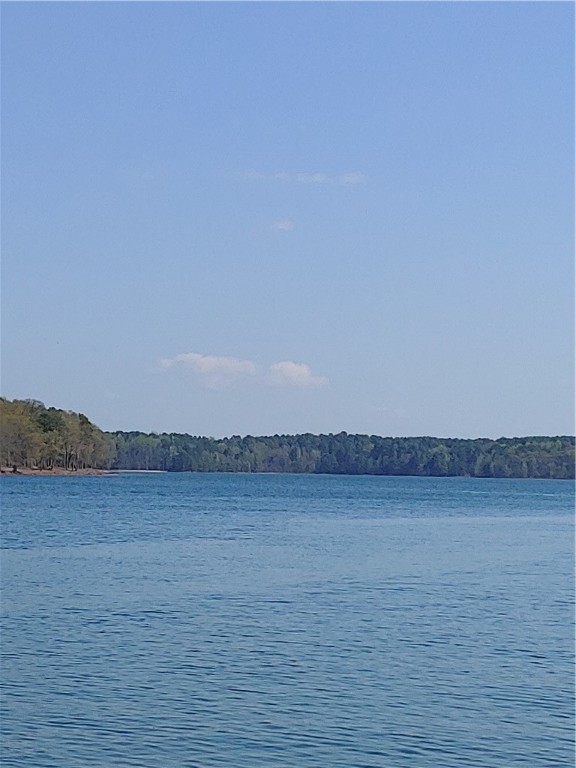 218 Maret Road Townville, SC 29689 - Photo 2 of 24 Dock open water view