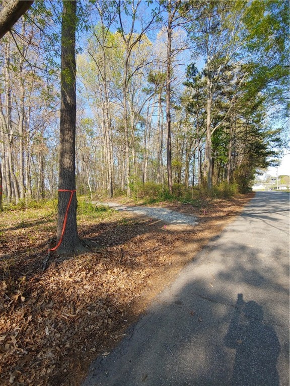 218 Maret Road Townville, SC 29689 - Photo 23 of 24 Path to dock