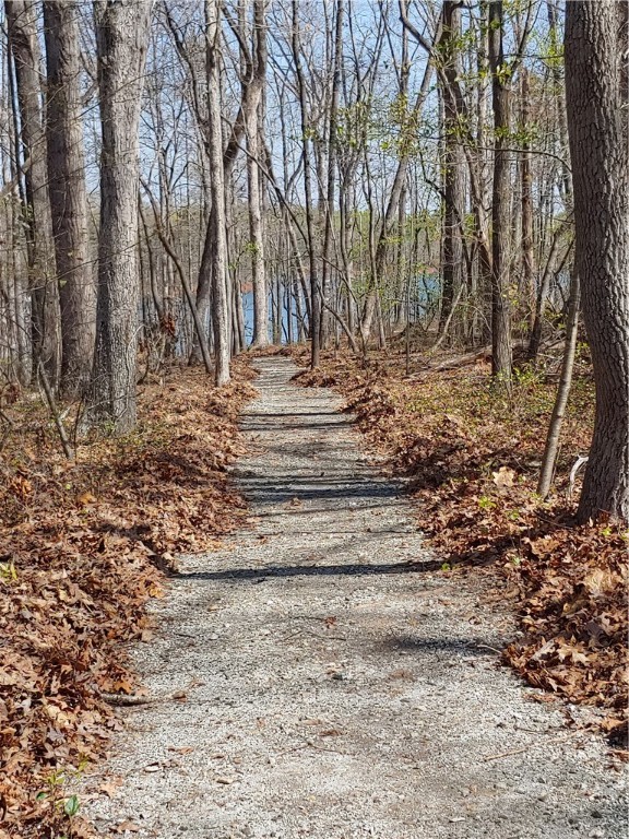 218 Maret Road Townville, SC 29689 - Photo 5 of 24 Pathway to Dock