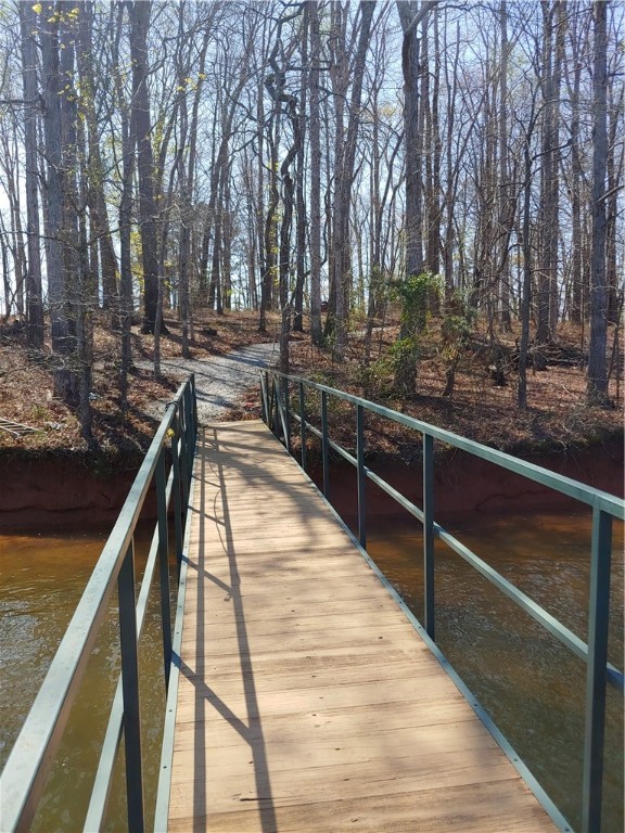 218 Maret Road Townville, SC 29689 - Photo 7 of 24 60'Ramp looking back to path