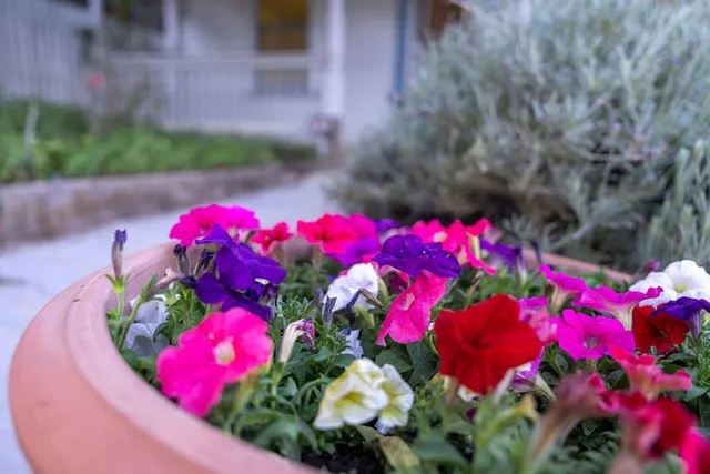 $605,000 | 418 Neal Street, Grass Valley, CA 95945