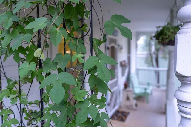 $605,000 | 418 Neal Street, Grass Valley, CA 95945