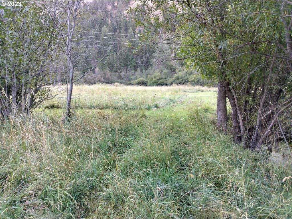 0 Upper Imnaha Road Imnaha, OR 97842 - Photo 1 of 3 Gallery Image 1