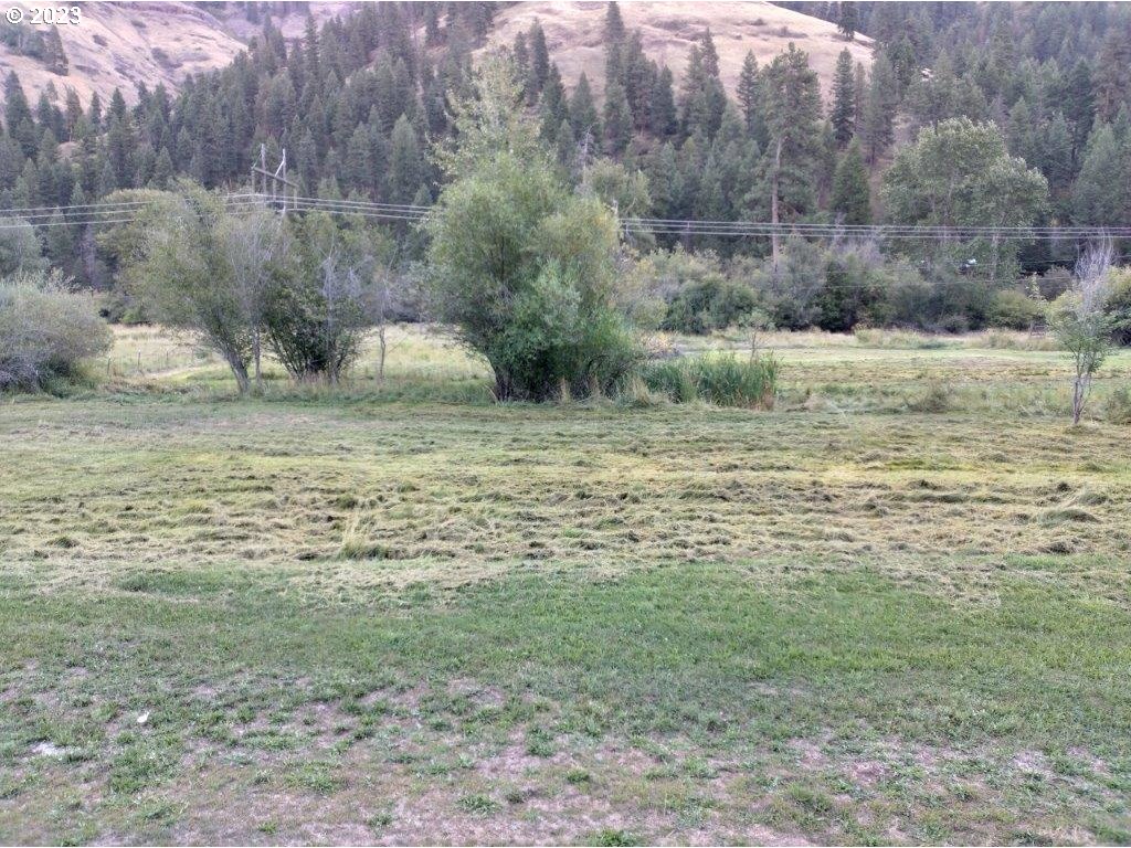 0 Upper Imnaha Road Imnaha, OR 97842 - Photo 2 of 3 Gallery Image 2