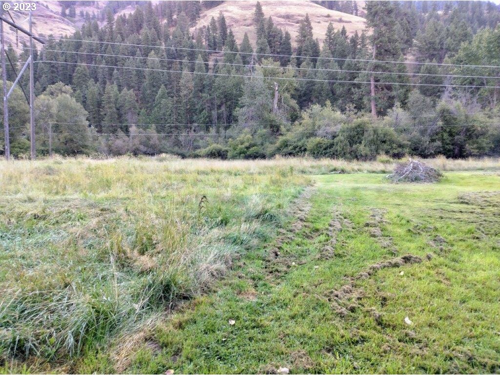 0 Upper Imnaha Road Imnaha, OR 97842 - Photo 3 of 3 Gallery Image 3