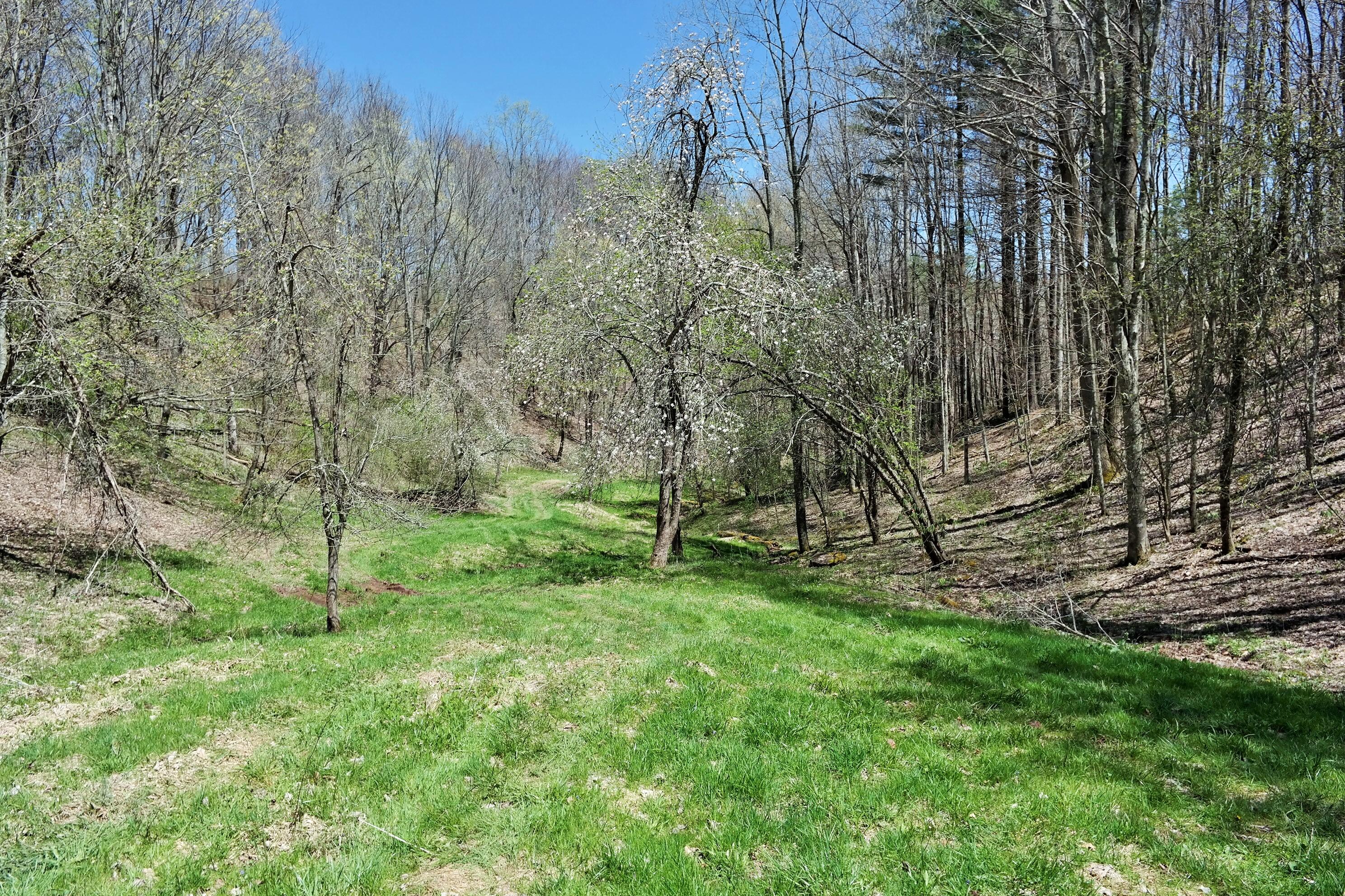 3678 Snake Run Road Alderson, WV 24910 - Photo 86 of 124 Gallery Image 86