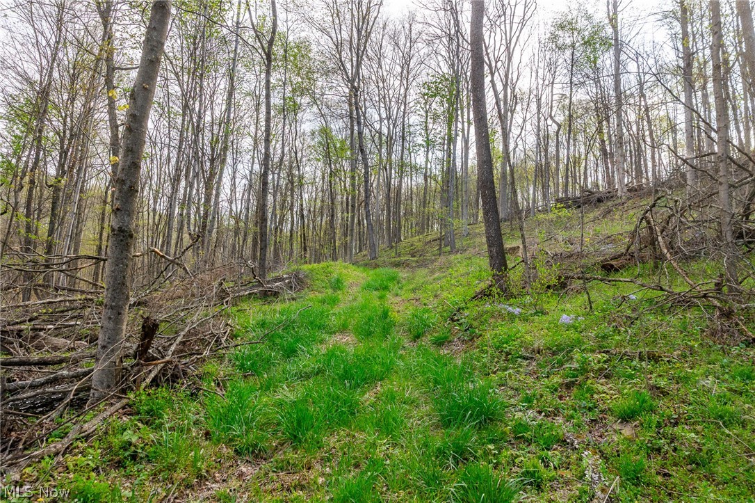 2115 Goss Fork Road, Unit 1 Whipple, OH 45788 - Photo 15 of 38