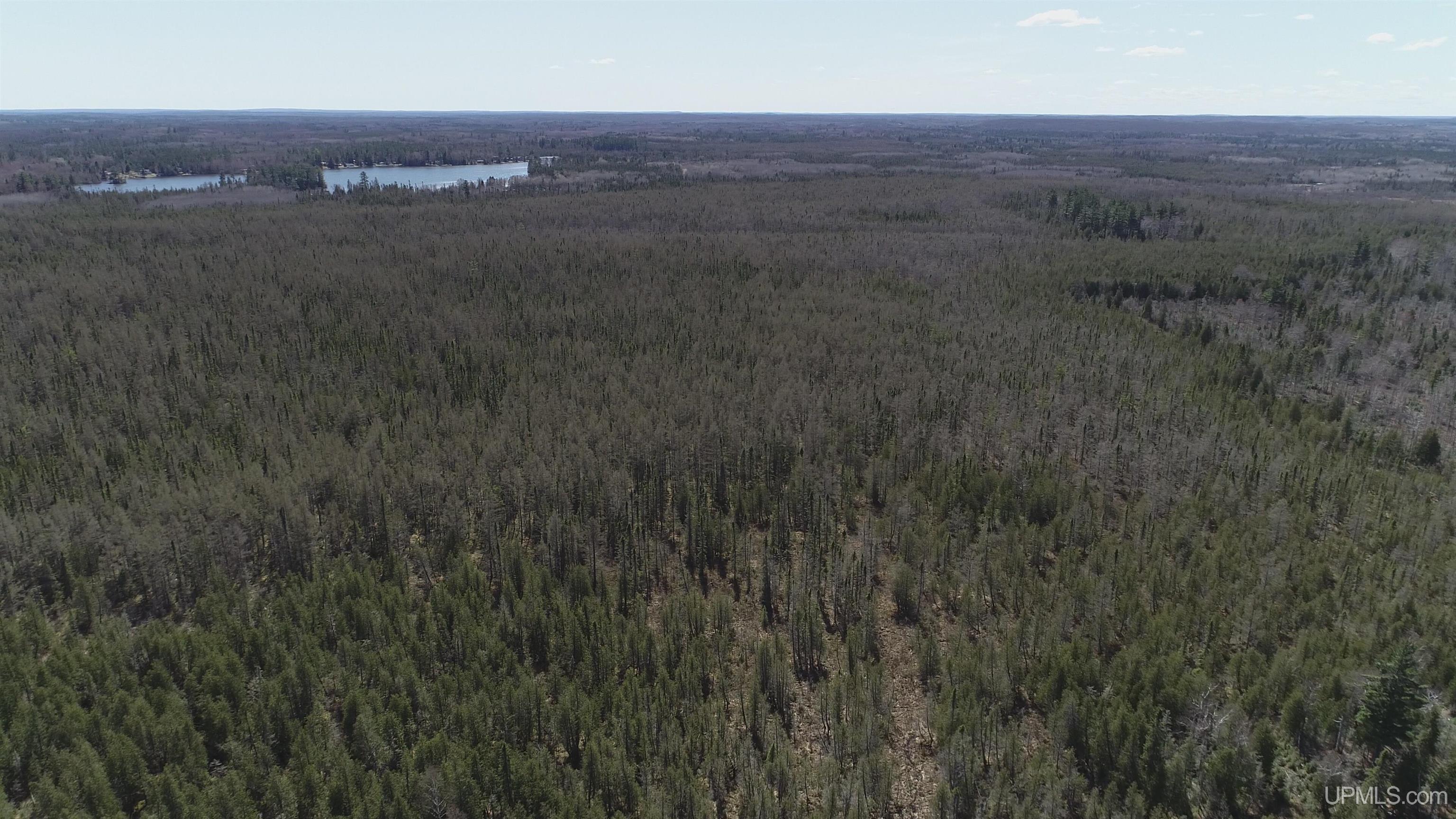 252-acres 252-acres Helen Lake Road Ishpeming, MI 49849 - Photo 10 of 11