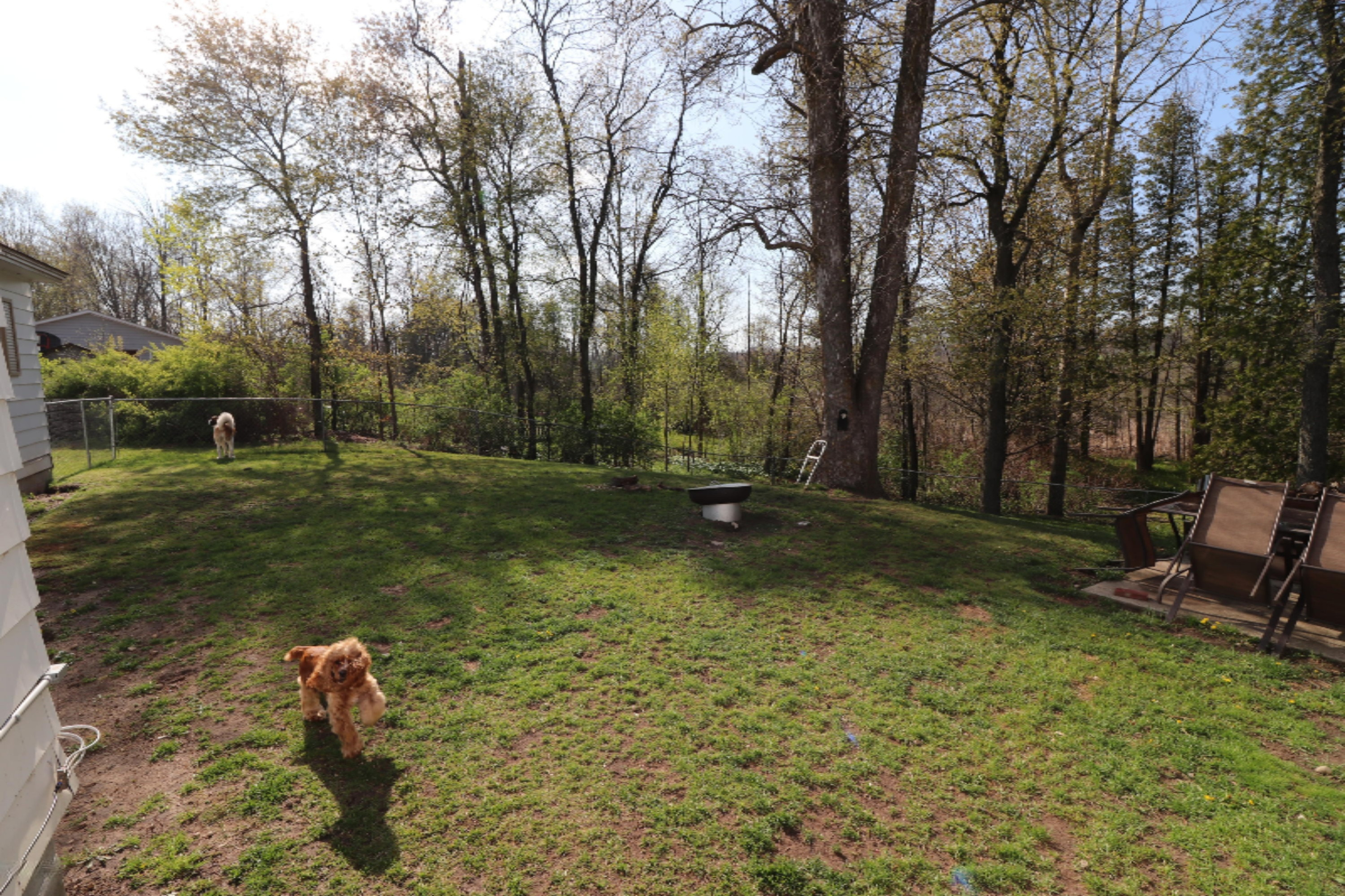 9135 West Adams Road Hesperia, MI 49421 - Photo 6 of 14 IMG_1067