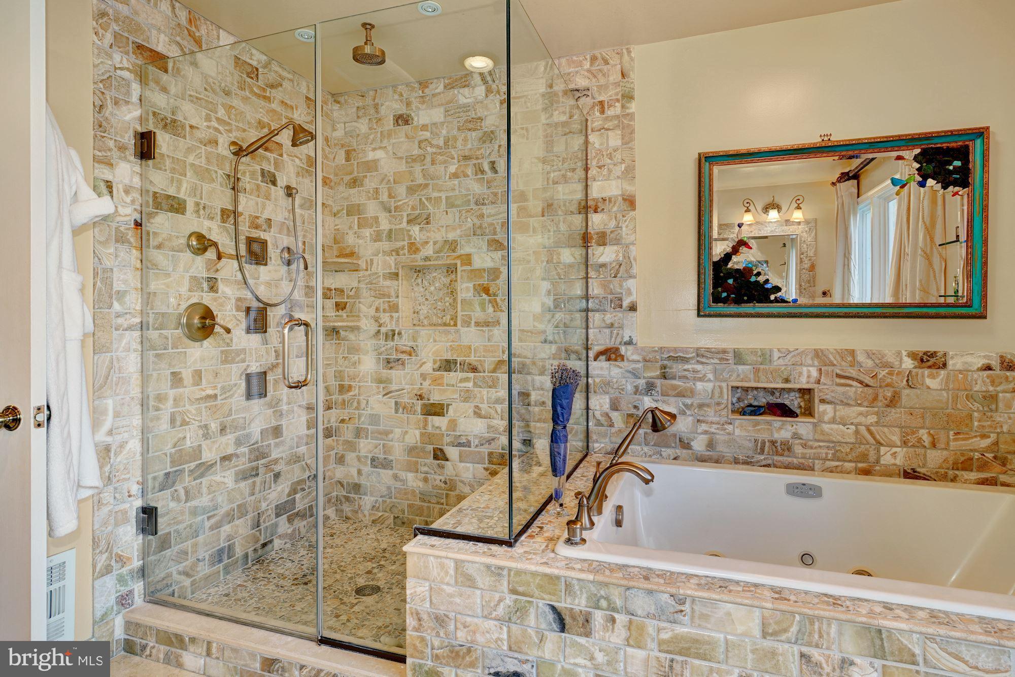 6 Travilah Terrace Potomac, MD 20854 - Photo 24 of 49 Glass-Enclosed Stall Shower & Jacuzzi Soaking Tub