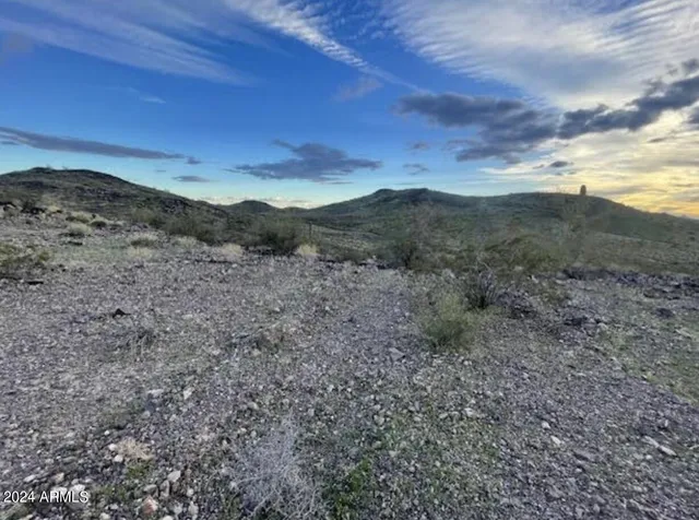 a view of a dry yard with mountains in the background