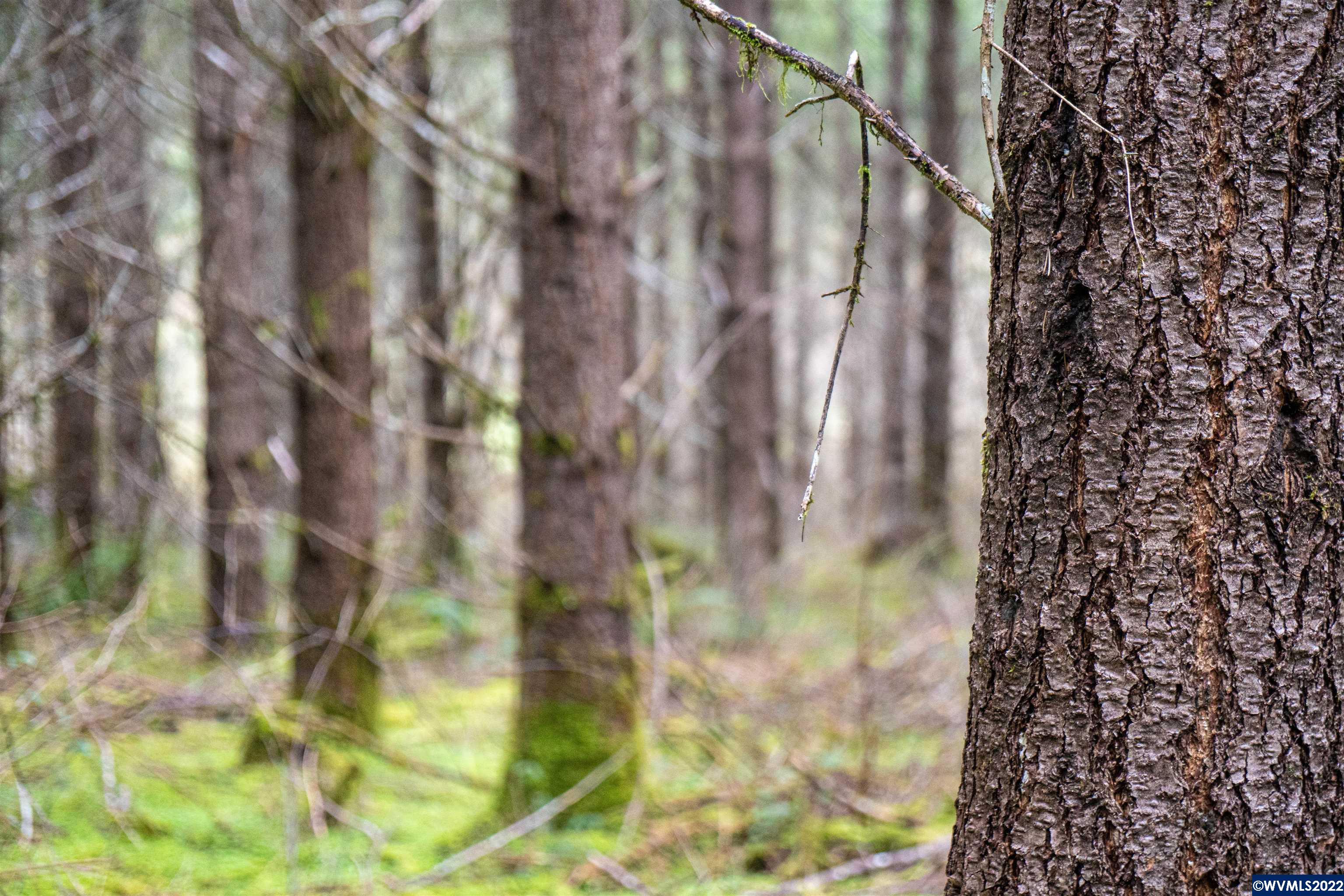 Na Foster Road Monroe, OR 97456 - Photo 10 of 32 Gallery Image 10