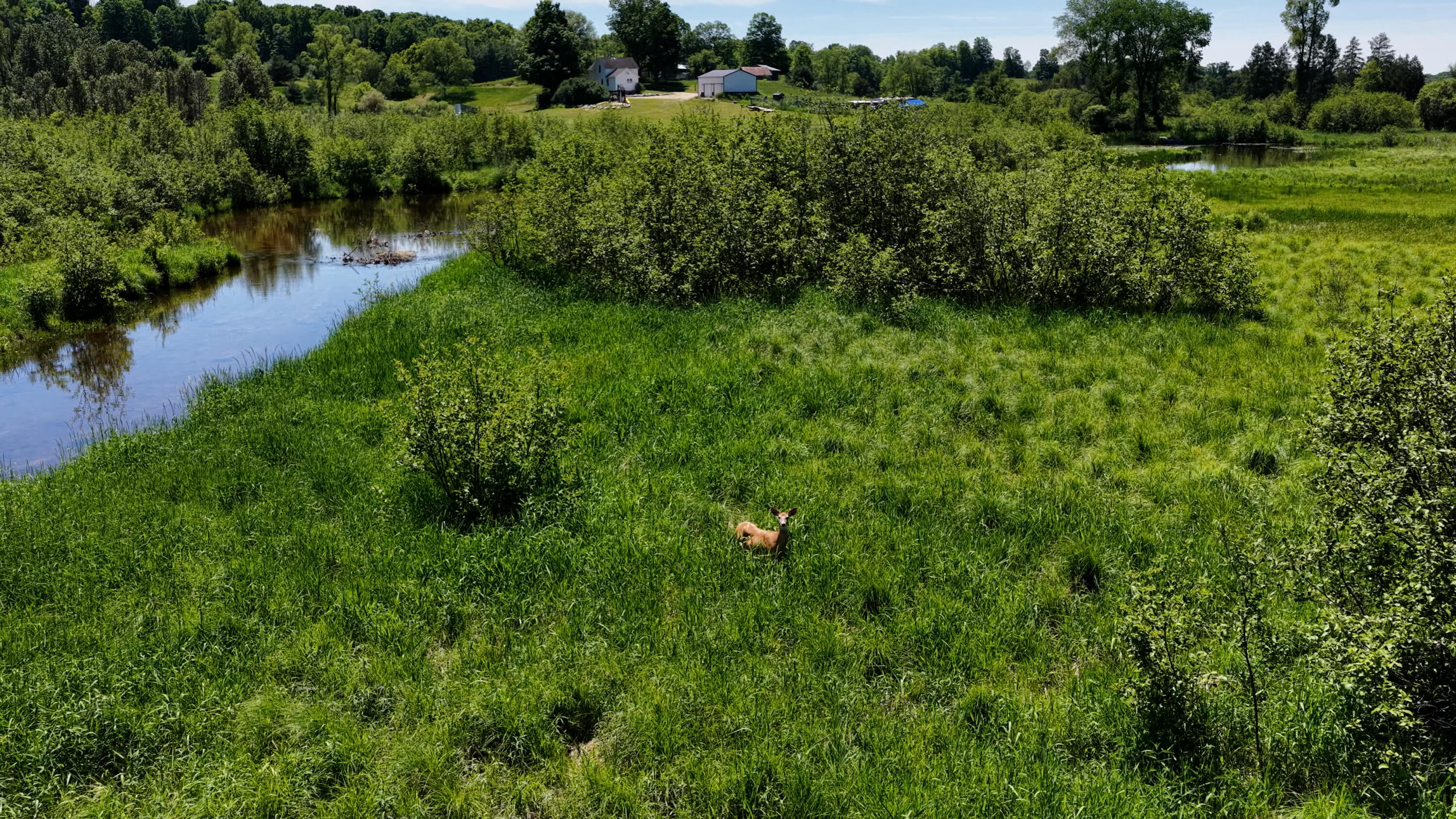 17274 Wilson Road Big Rapids, MI 49307 - Photo 48 of 51 DJI_20260608054318_0075_D.00_29_34_23.St