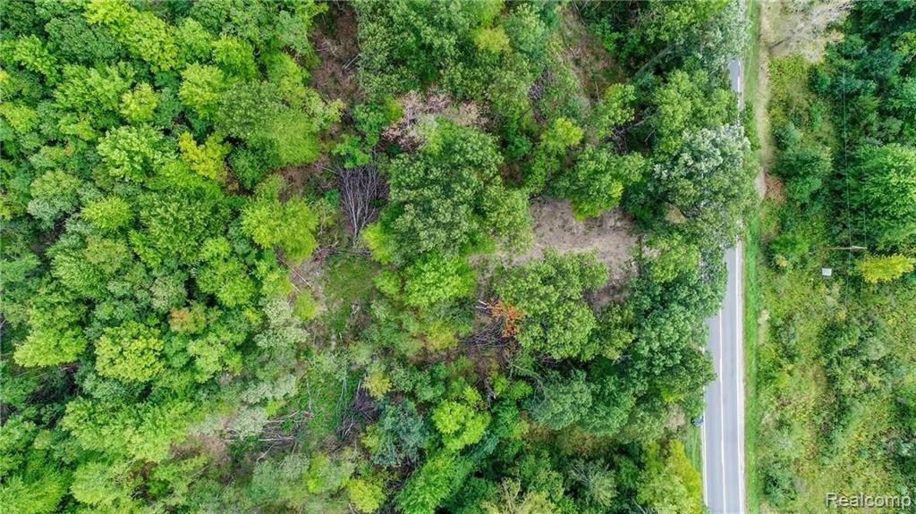 0 Kaiser Road Gregory, MI 48137 - Photo 11 of 18
