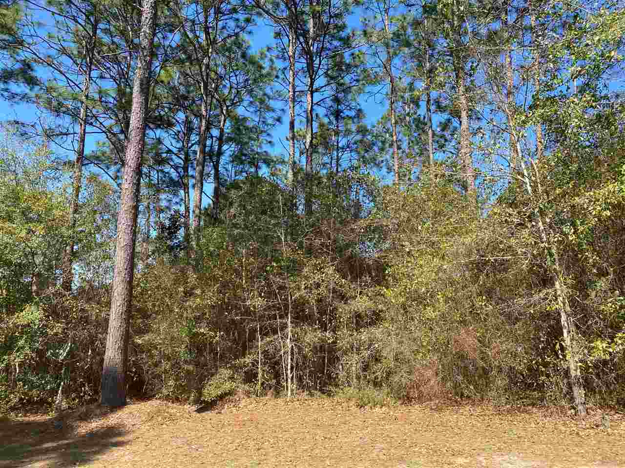 105 Laguna Circle Daphne, AL 36526 - Photo 3 of 5