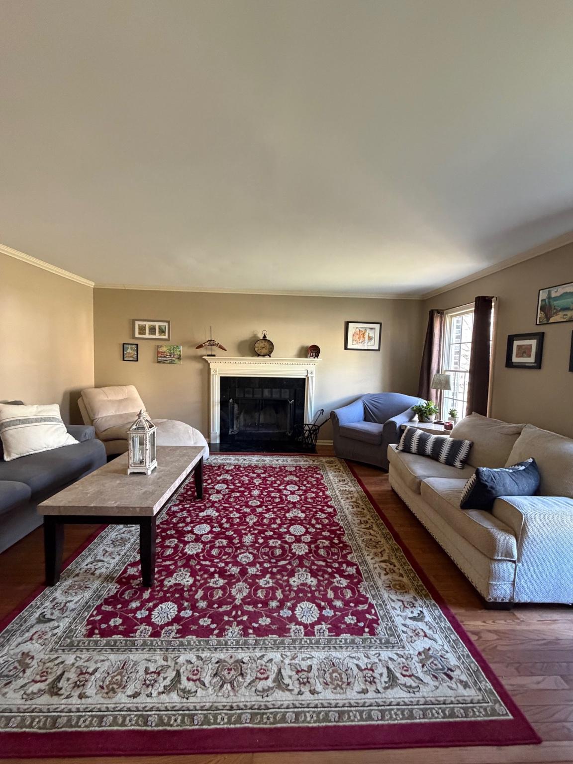 119 Constitution Avenue Reading, PA 19606 - Photo 6 of 15 a living room with furniture and a rug