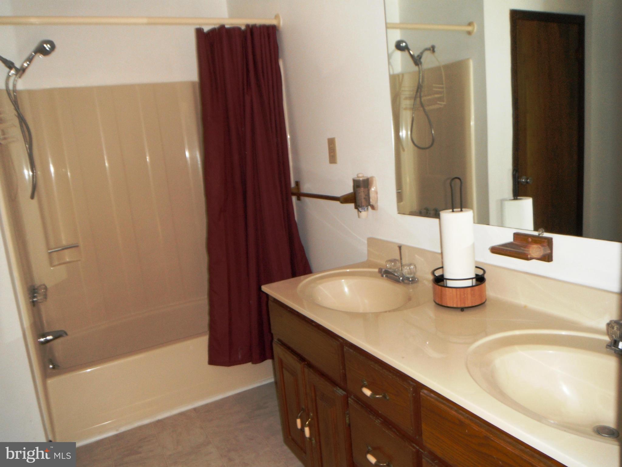 2766 Koontztown Road Falling Waters, WV 25419 - Photo 12 of 22 Bath (Master)