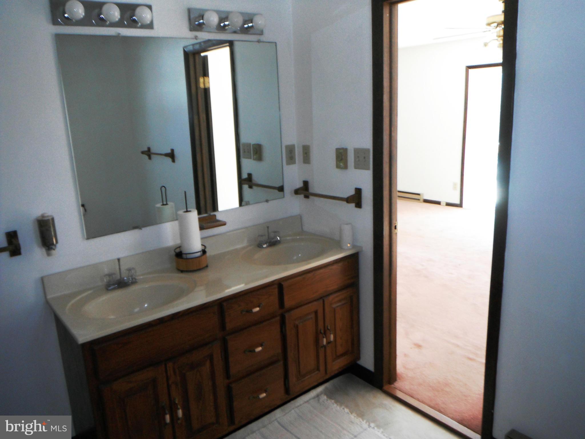 2766 Koontztown Road Falling Waters, WV 25419 - Photo 13 of 22 Bath (Master)