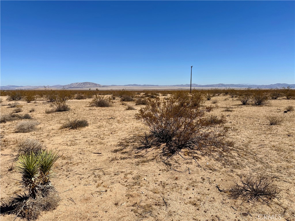 61869 Napa Road Joshua Tree, CA 92252 - Photo 7 of 13