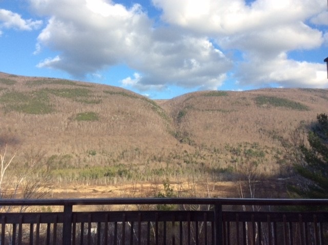 252 Troll Hill Road Danby, VT 05739 - Photo 13 of 14 Gallery Image 13
