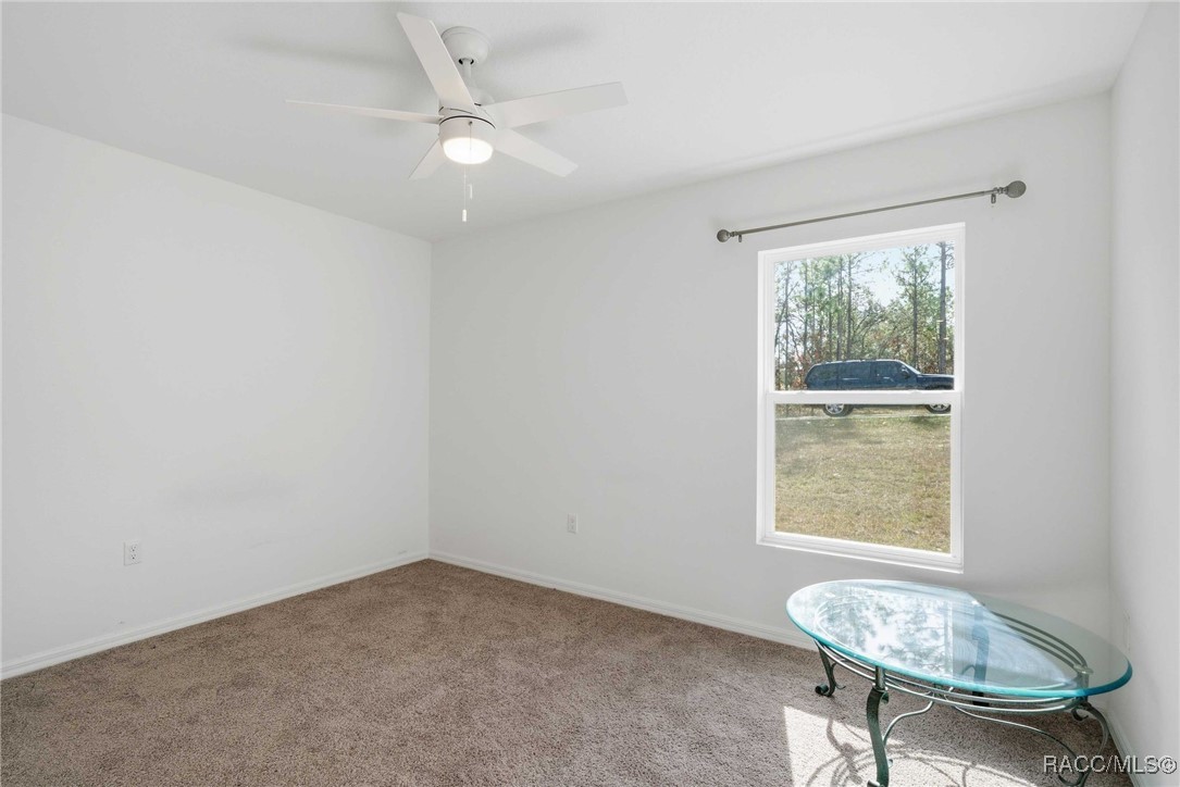 16287 Little Auk Road Weeki Wachee, FL 34614 - Photo 34 of 52
