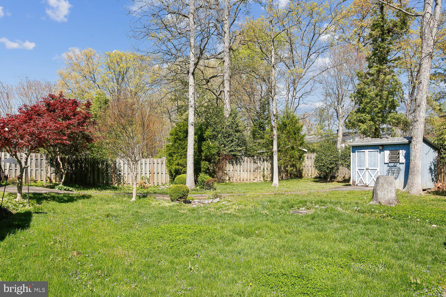 6809 Ontario Street Springfield, VA 22152 - Photo 10 of 70 Back Yard