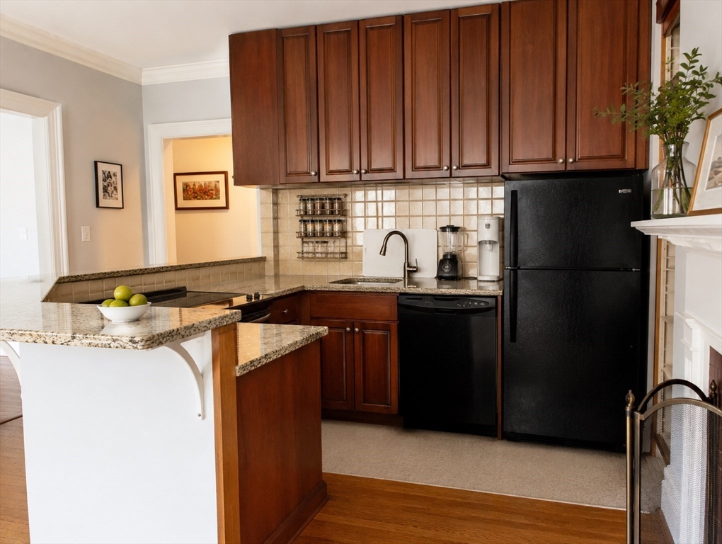 344 Tappan Street, Unit 2 Brookline, MA 02445 - Photo 4 of 14