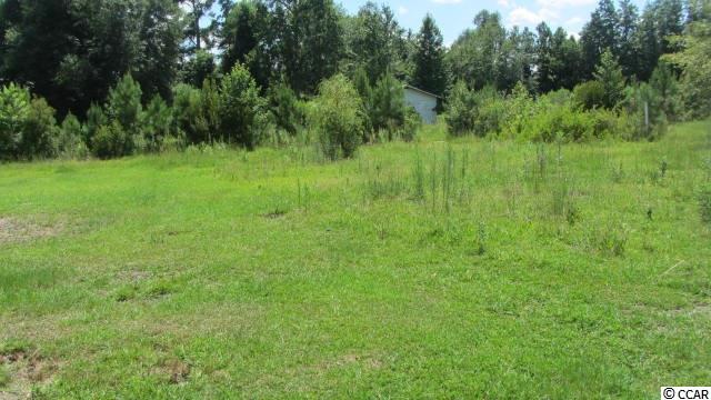 15773 Choppee Road Hemingway, SC 29554 - Photo 15 of 16