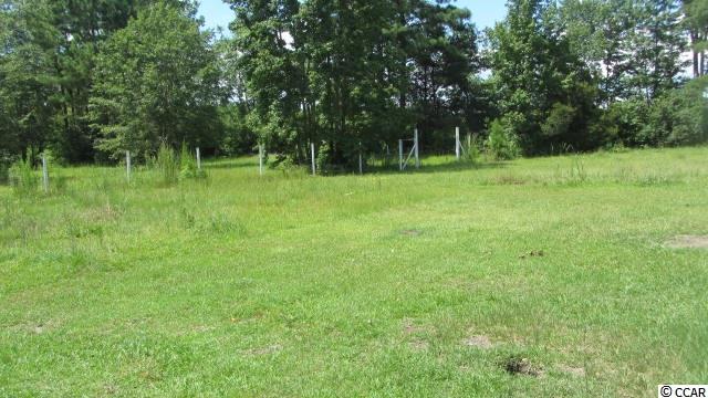 15773 Choppee Road Hemingway, SC 29554 - Photo 16 of 16