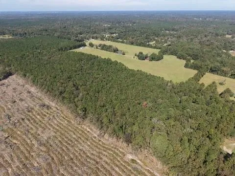 $1,000,000 | 135 Big Lake Road, Pineville, LA 71360