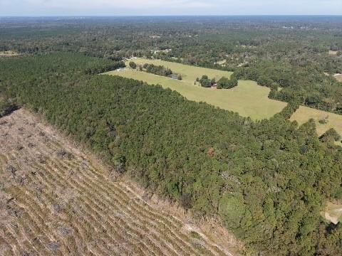 135 Big Lake Road Pineville, LA 71360 - Photo 20 of 22