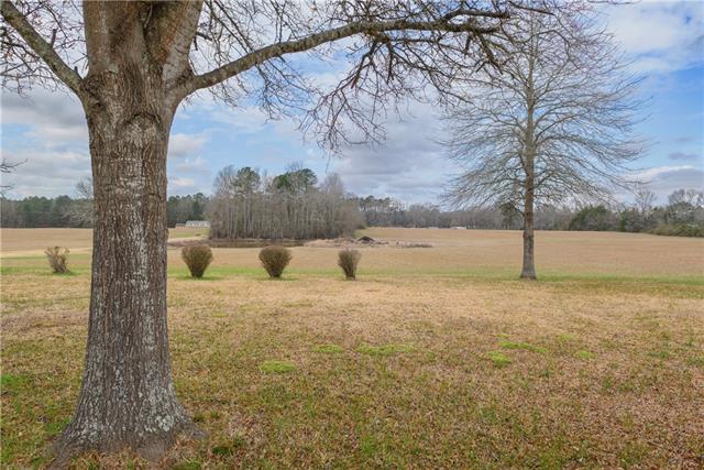 135 Big Lake Road Pineville, LA 71360 - Photo 5 of 22