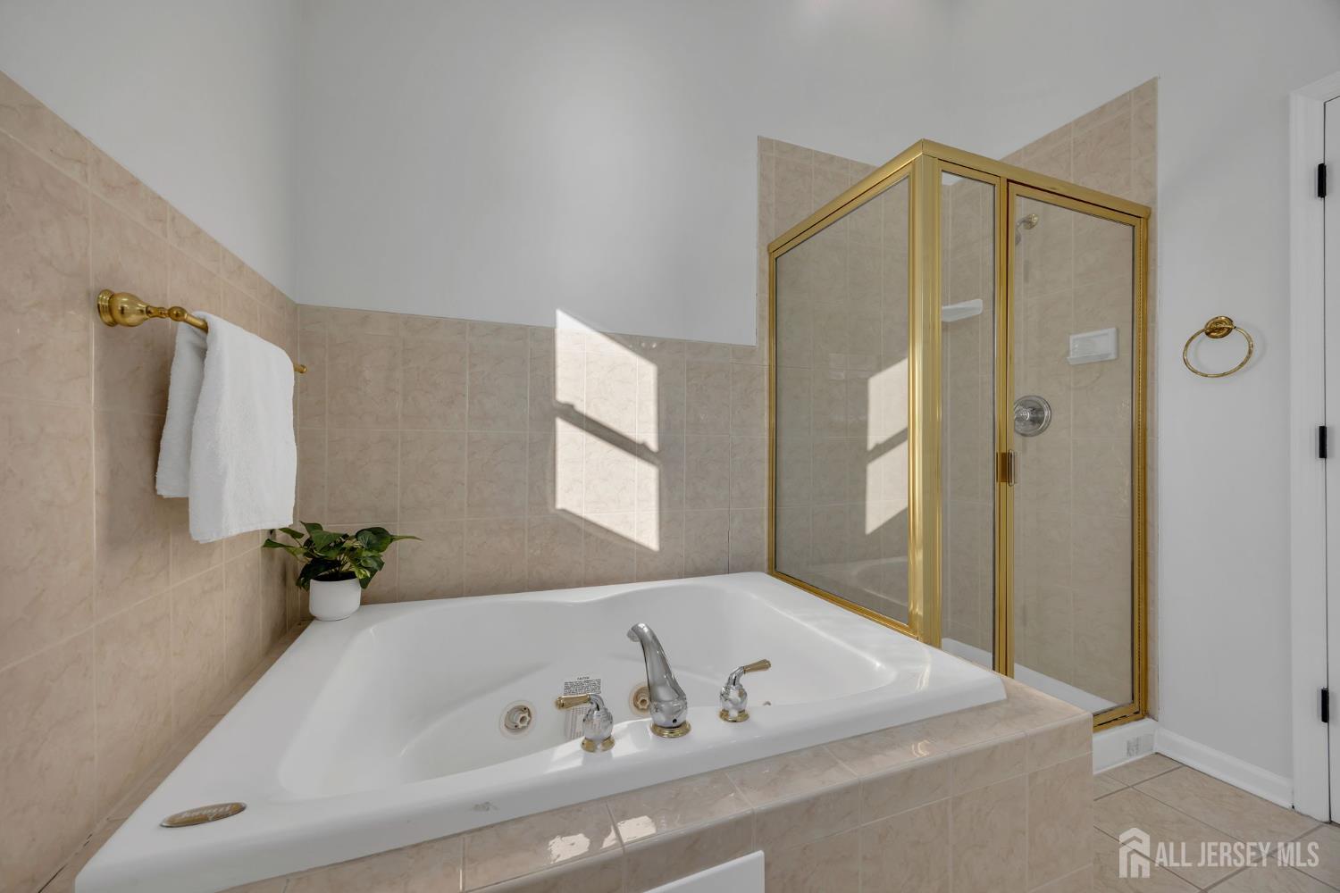 4 Rauer Court South Plainfield, NJ 07080 - Photo 49 of 56