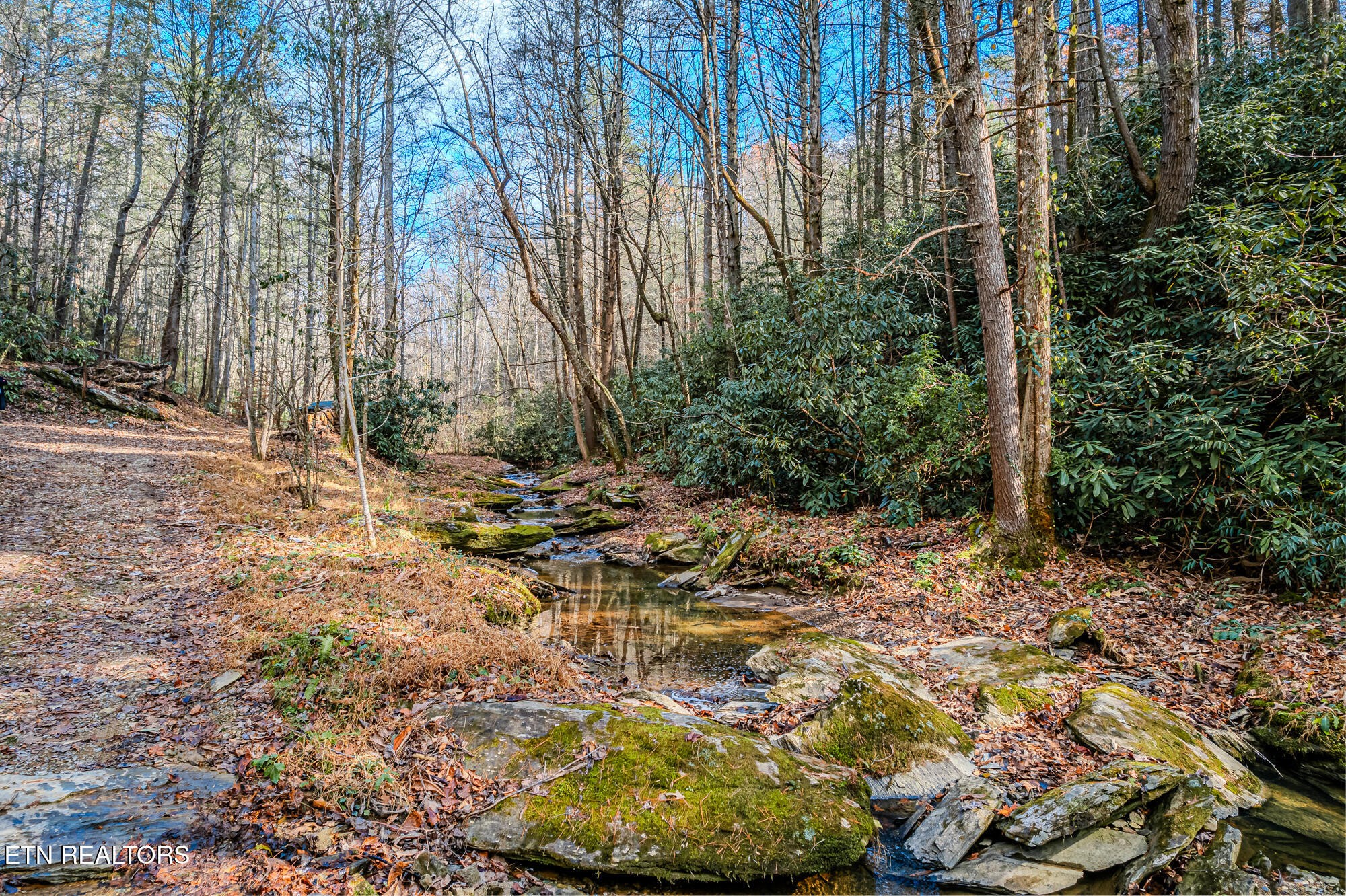 0 Pond Ridge Road Tellico Plains, TN 37385 - Photo 11 of 32