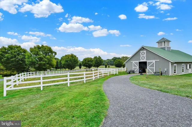 a view of a house with a big yard and a large tree