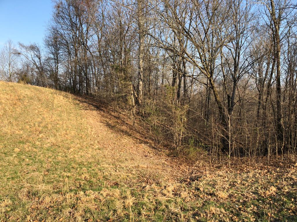 950 Johnney Harvey Road Breeding, KY 42715 - Photo 12 of 26 Gallery Image 12