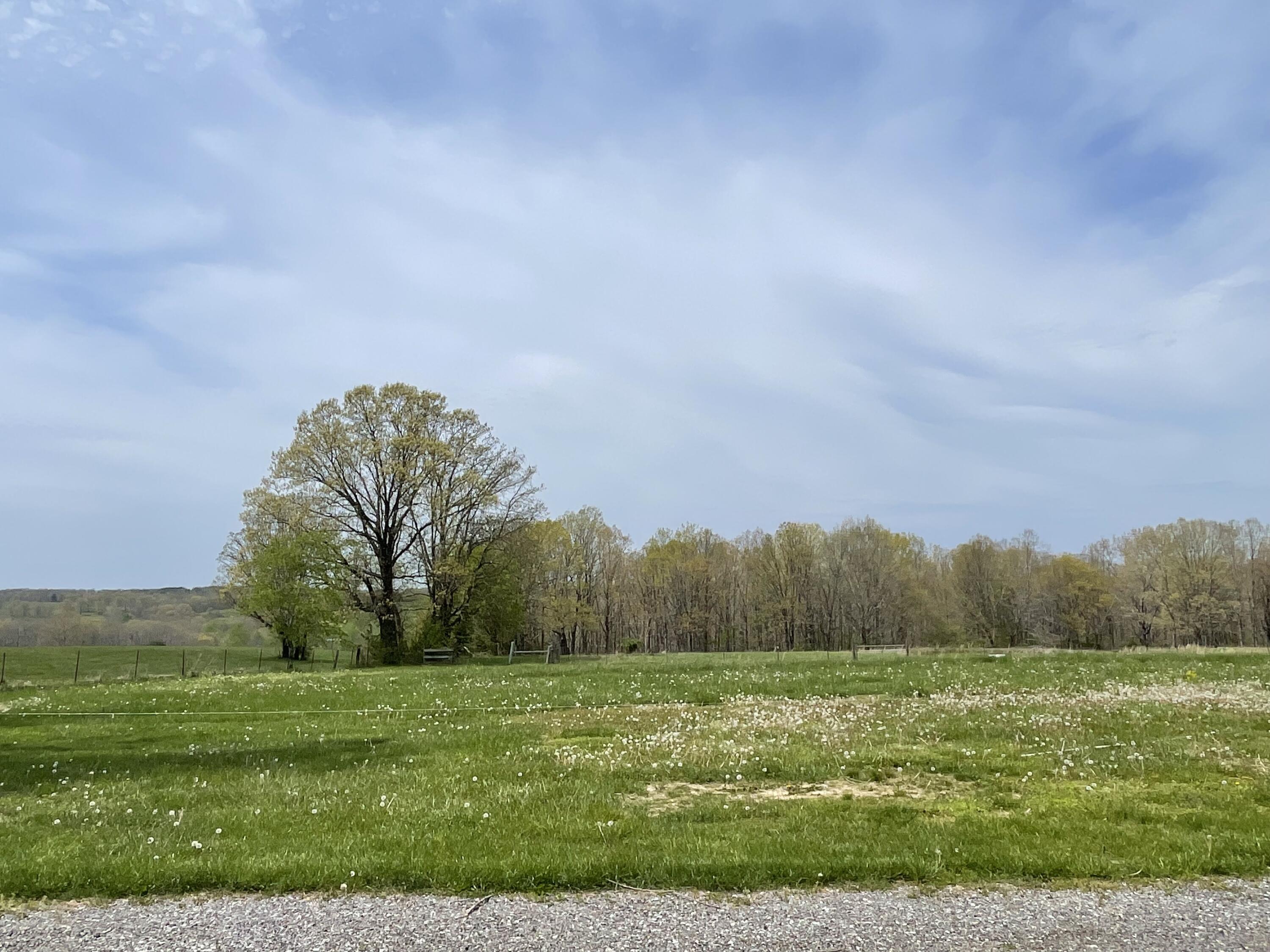 193 Lynn Rothwell Road Pikeville, TN 37367 - Photo 28 of 29 IMG_5356