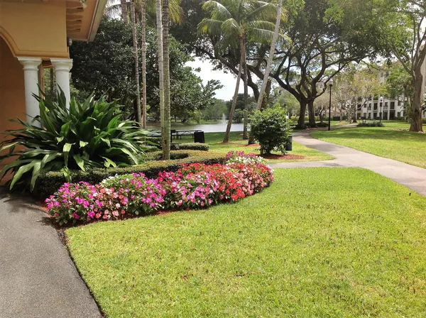 a view of a garden with flowers and trees
