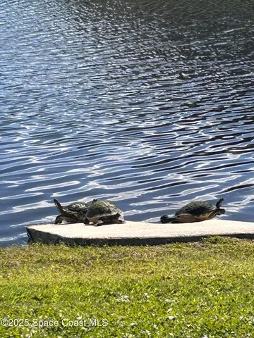 a view of a big yard with a house in the background