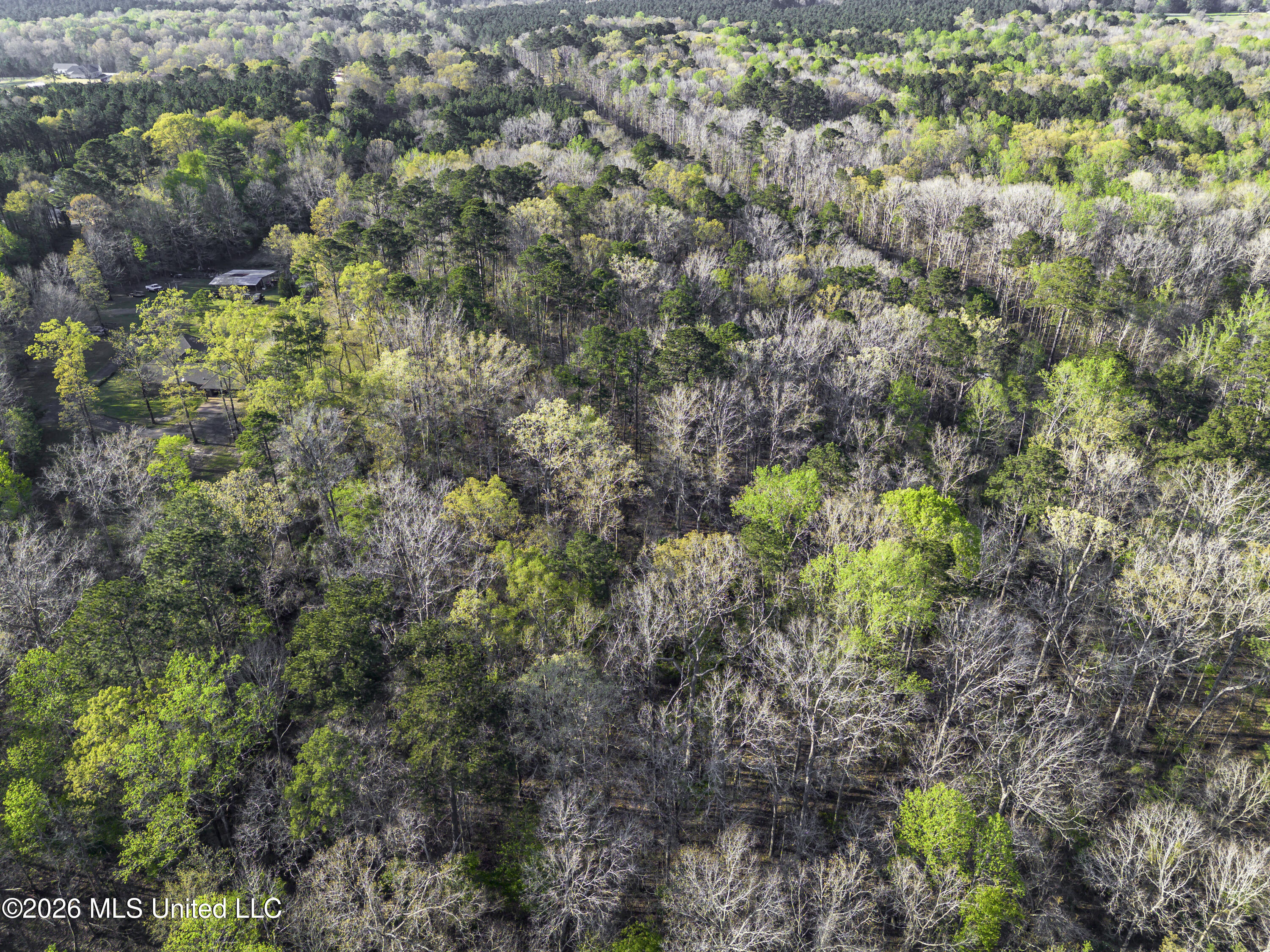 4016 Highway 18 Brandon, MS 39042 - Photo 14 of 29 Hy 18 land Drone-0674