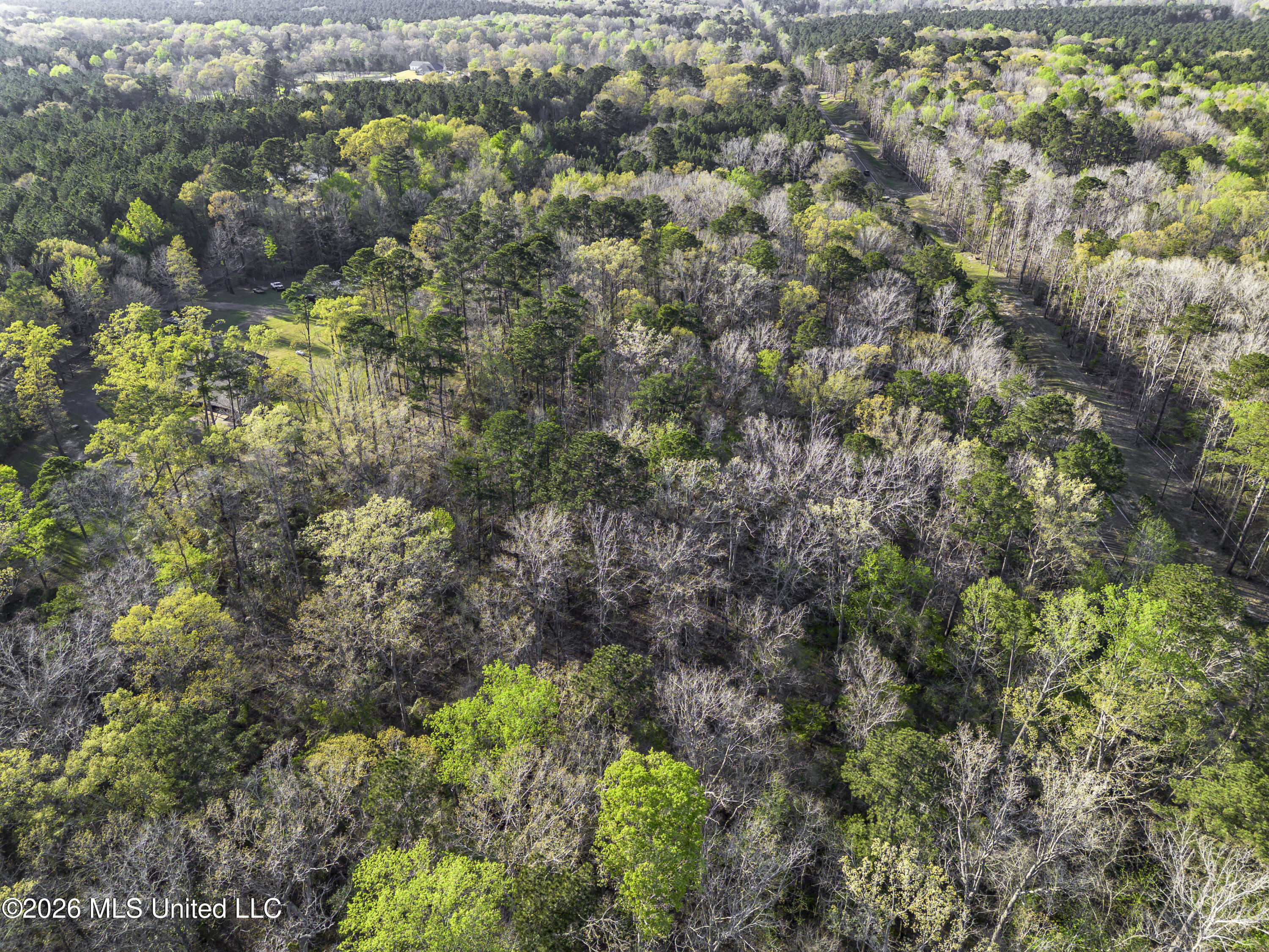 4016 Highway 18 Brandon, MS 39042 - Photo 15 of 29 Hy 18 land Drone-0675