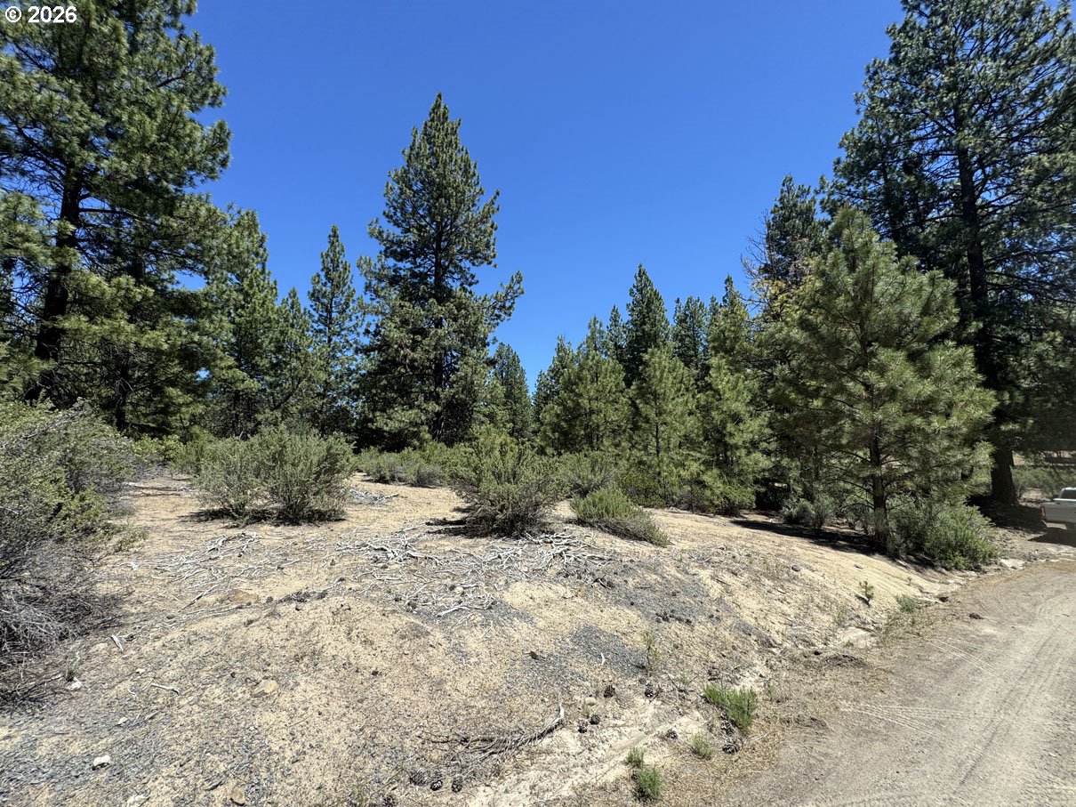 Friendship Drive, Unit 15 Chiloquin, OR 97624 - Photo 6 of 41