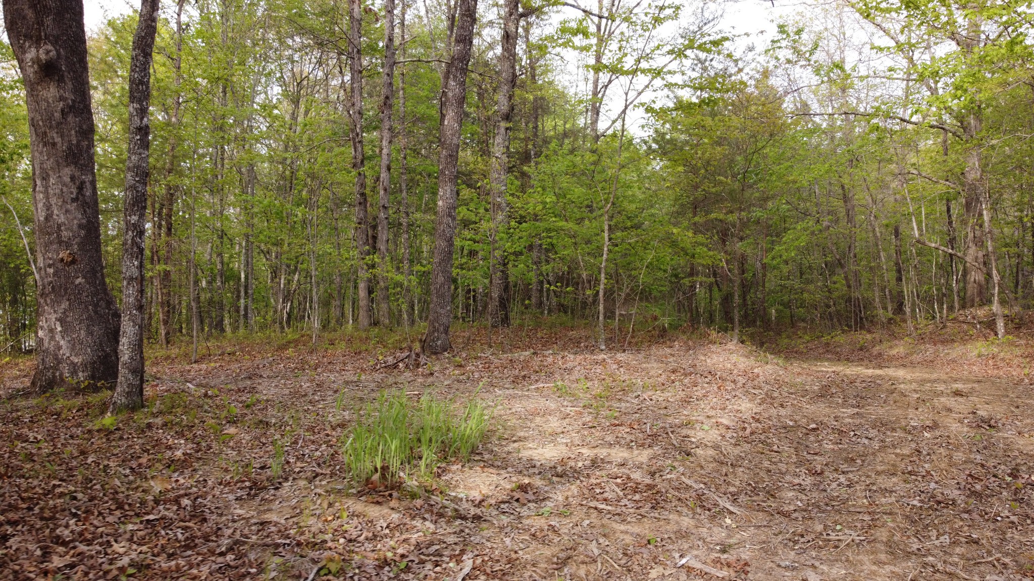 777879 Long Branch Road Spencer, TN 38585 - Photo 29 of 45 Gallery Image 29